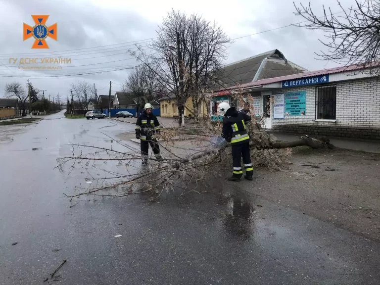 Последствия непогоды в Запорожье: водителям перекрыло движение и попадали деревья (ФОТО)