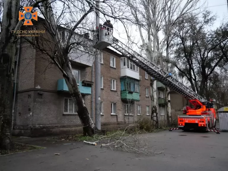 Из-за непогоды в Запорожье дерево упало на автомобиль