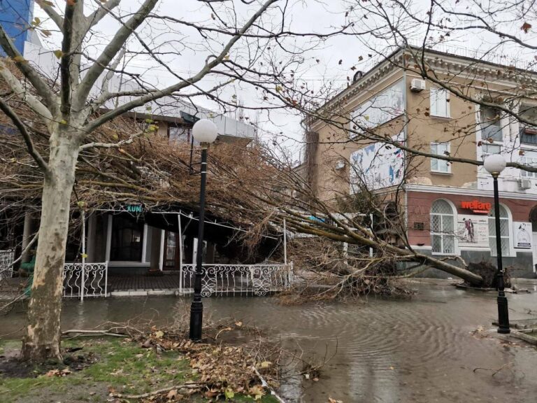 В Бердянске из-за шторма подтоплена часть города (ВИДЕО)