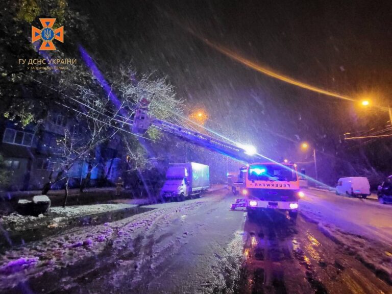 Спасатели показали последствия снегопада в Запорожье (ФОТО)