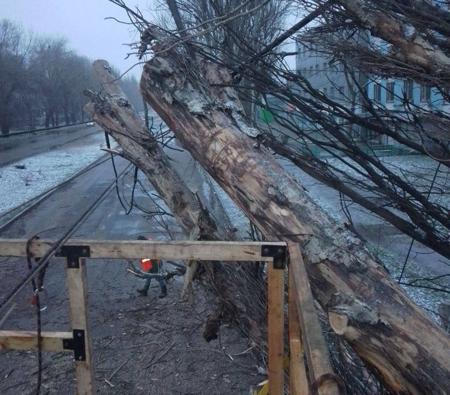 Через негоду у Запоріжжі попадали дерева