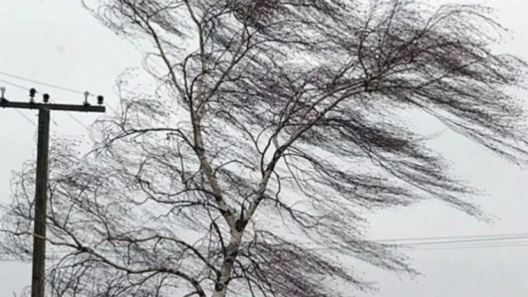 У Запоріжжі 6 лютого синоптики прогнозують сильні пориви вітру