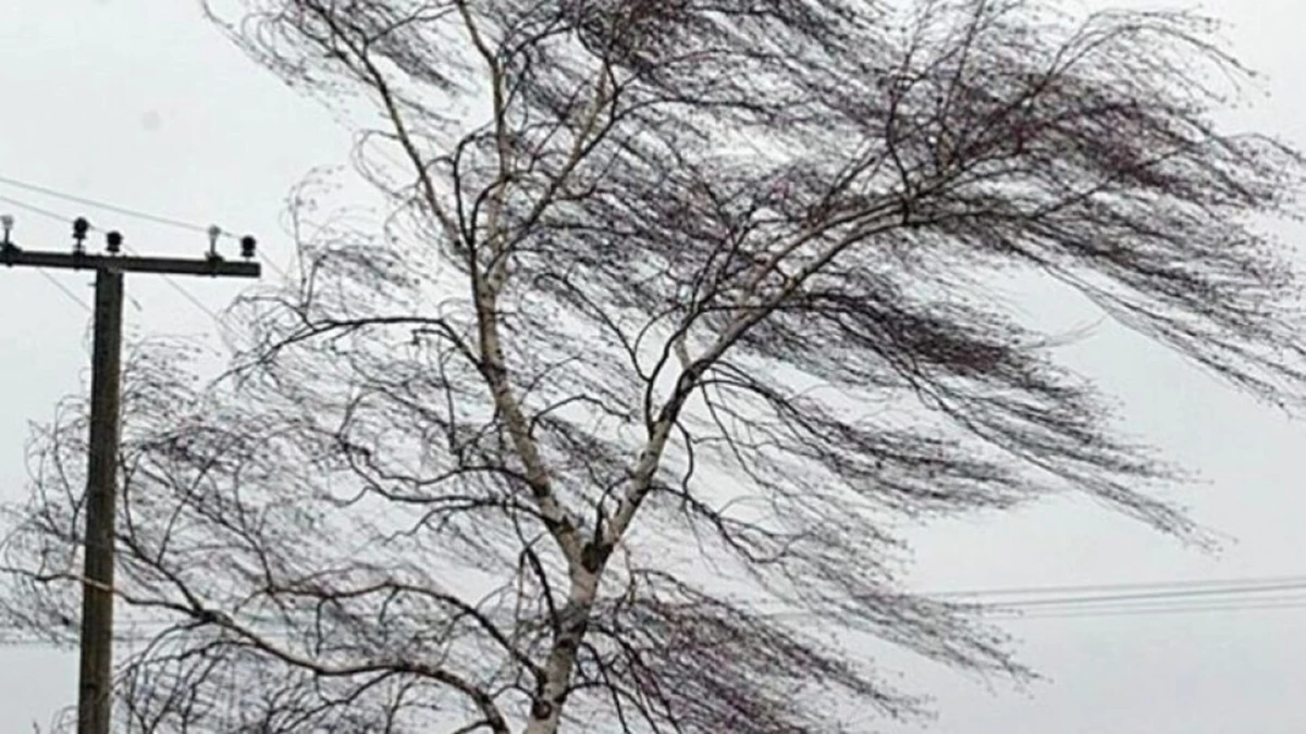 В Запорожье 4 февраля прогнозируют сильные порывы ветра