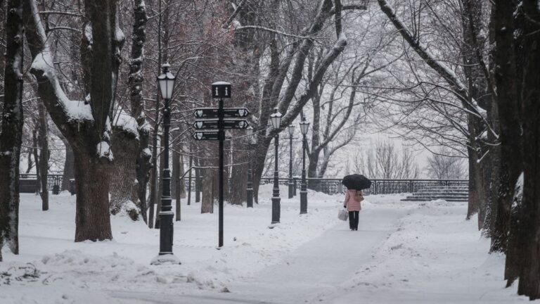 Запоріжці пережили найтеплішу зиму: метеорологи розповіли про феномен