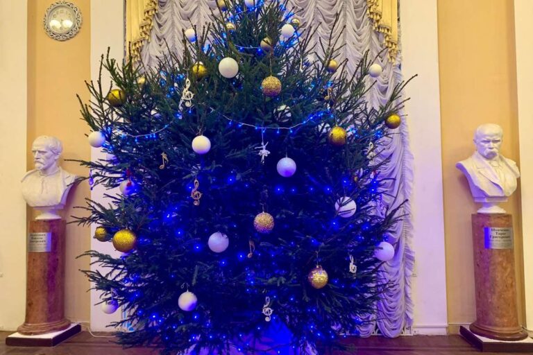 В Запорожье установили новогоднюю елку