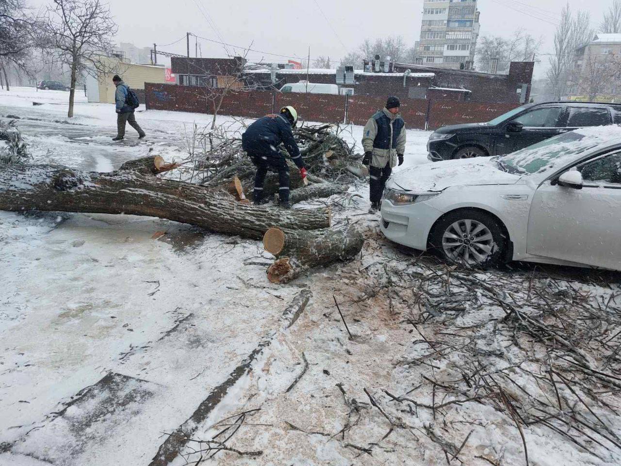 В Запорожье коммунальщики устраняют последствия непогоды: попадали деревья (ФОТО)