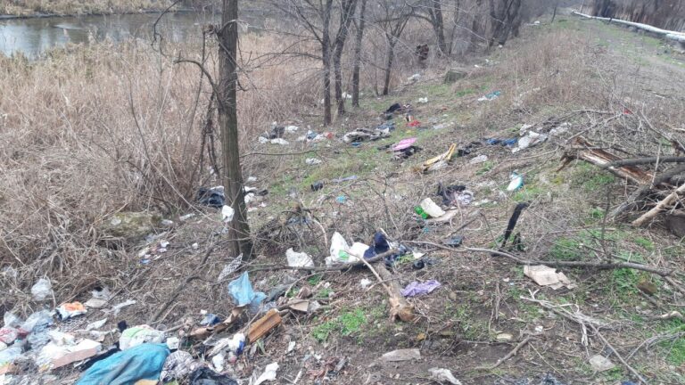 Біля річки Мокра Московка в Запоріжжі виявили сміттєве звалище