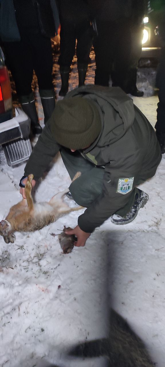 У Запорізькій області затримали мисливців-браконьєрів, які вбили зайців та куріпку