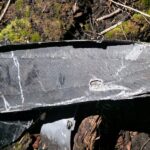 У Запорізькій області нацгвардійці збили два російських дрони
