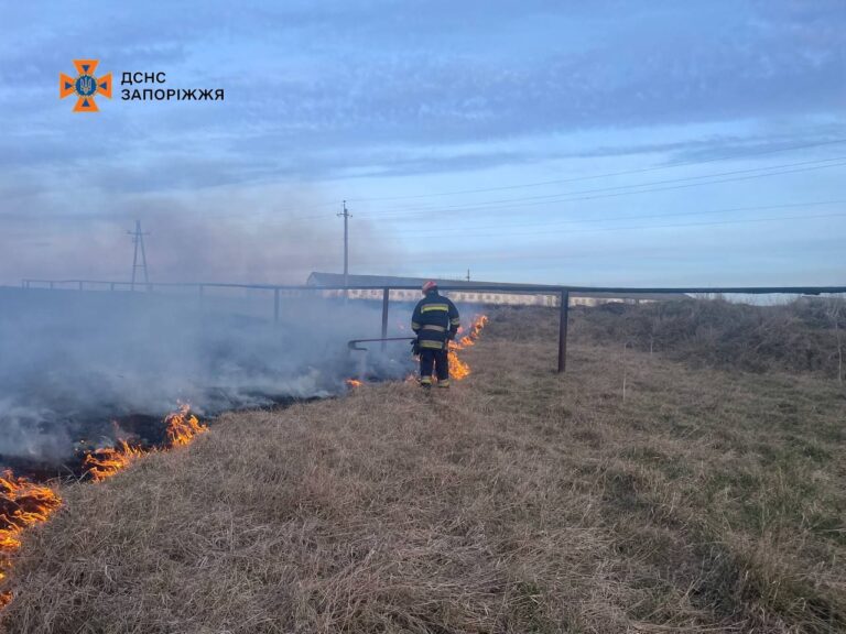 В Запорожской области втрое возросло количество пожаров: причины
