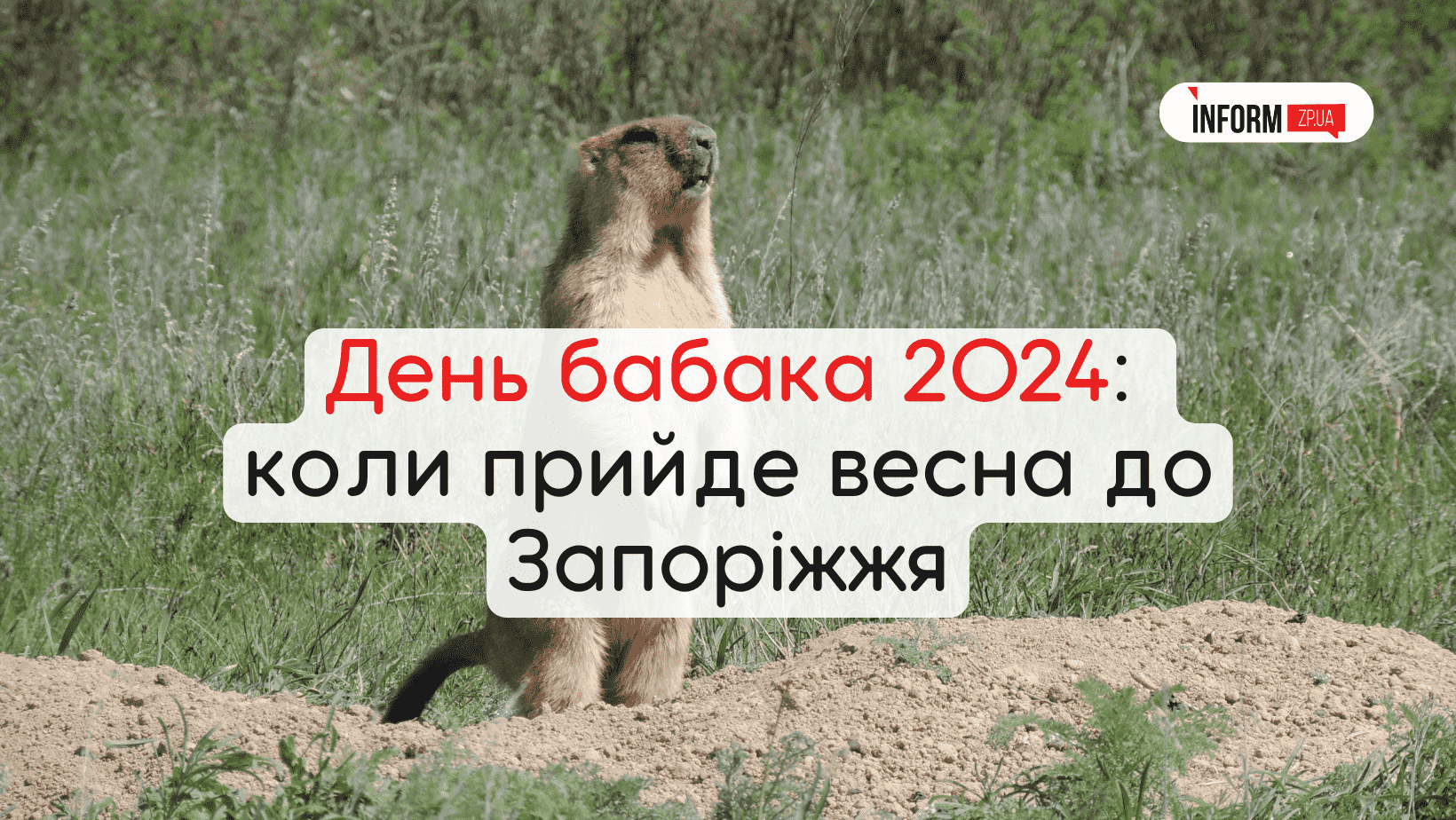 День сурка 2024: когда придет весна в Запорожье