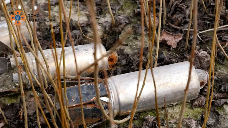 Рятувальники знайшли російські снаряди в Запорізькому районі: деталі