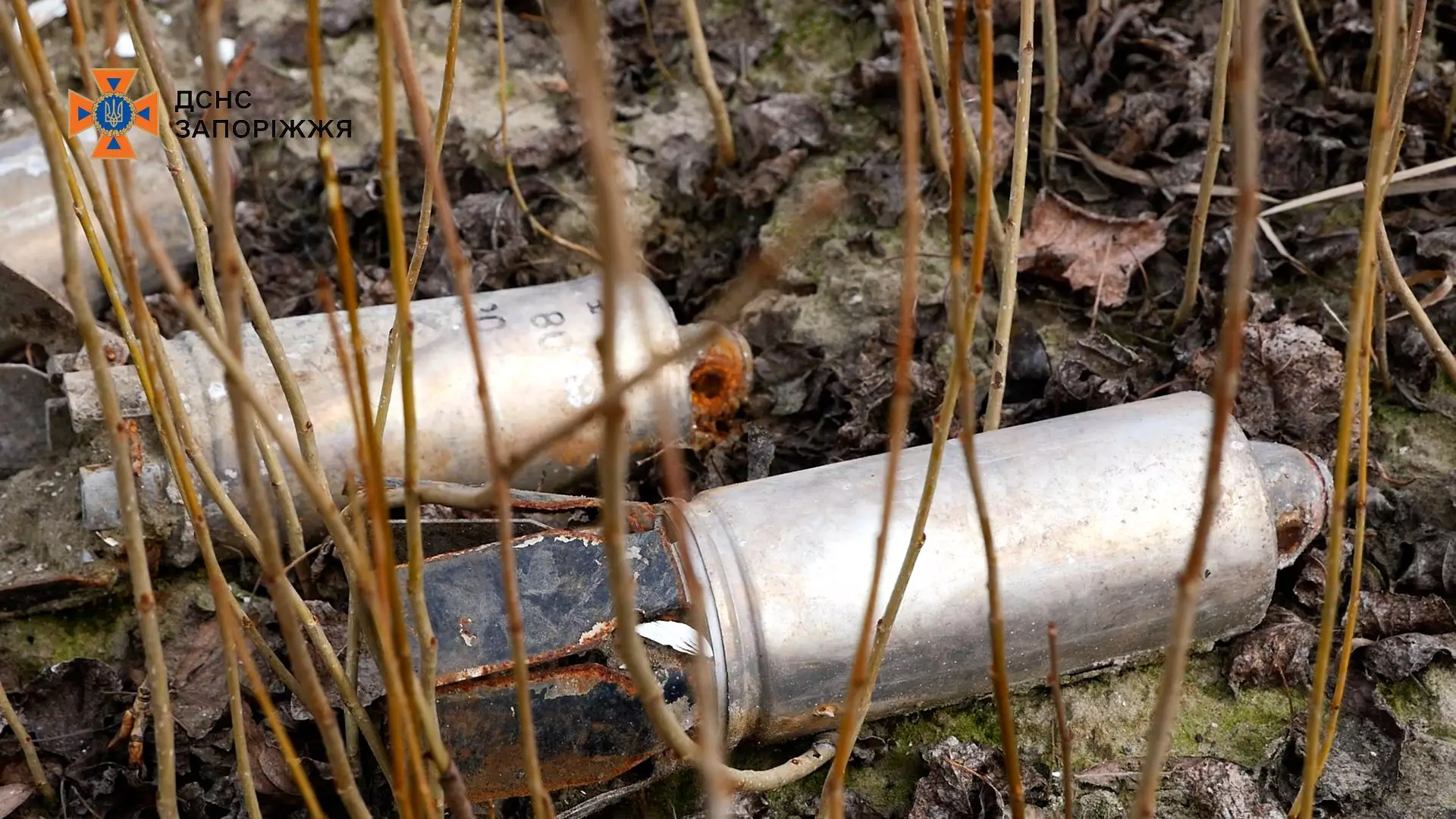 Сапери знайшли артилерійський снаряд в Запорізькій області