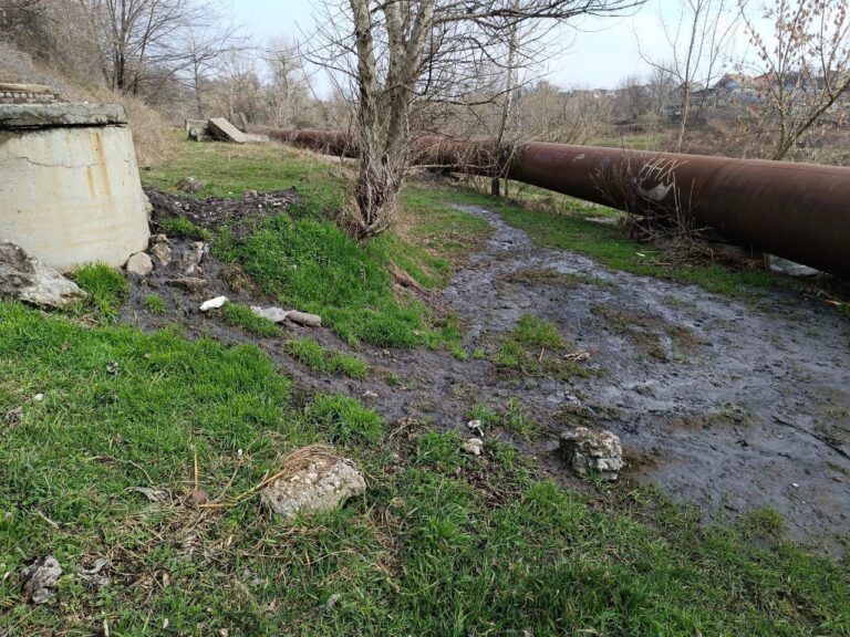 В одном из районов Запорожья отходы из канализации навредили экологии (ФОТО)