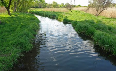 У Запоріжжі відходи могли забруднити річку Верхня Хортиця (ФОТО)