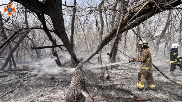 У Запоріжжі знову загорілися плавні біля Дніпра: пожежа триває (ВІДЕО)