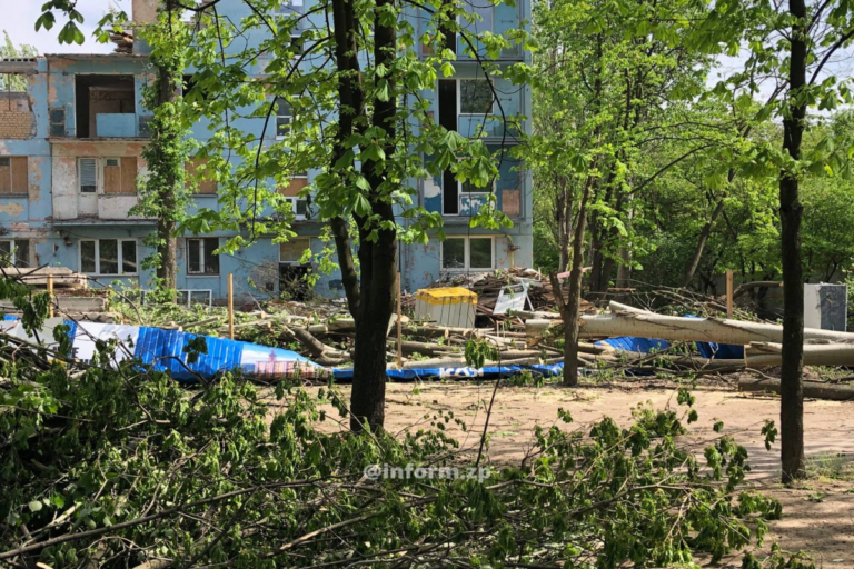У Запоріжжі впало дерево біля зруйнованої багатоповерхівки: що зараз з будівлею (ФОТО)