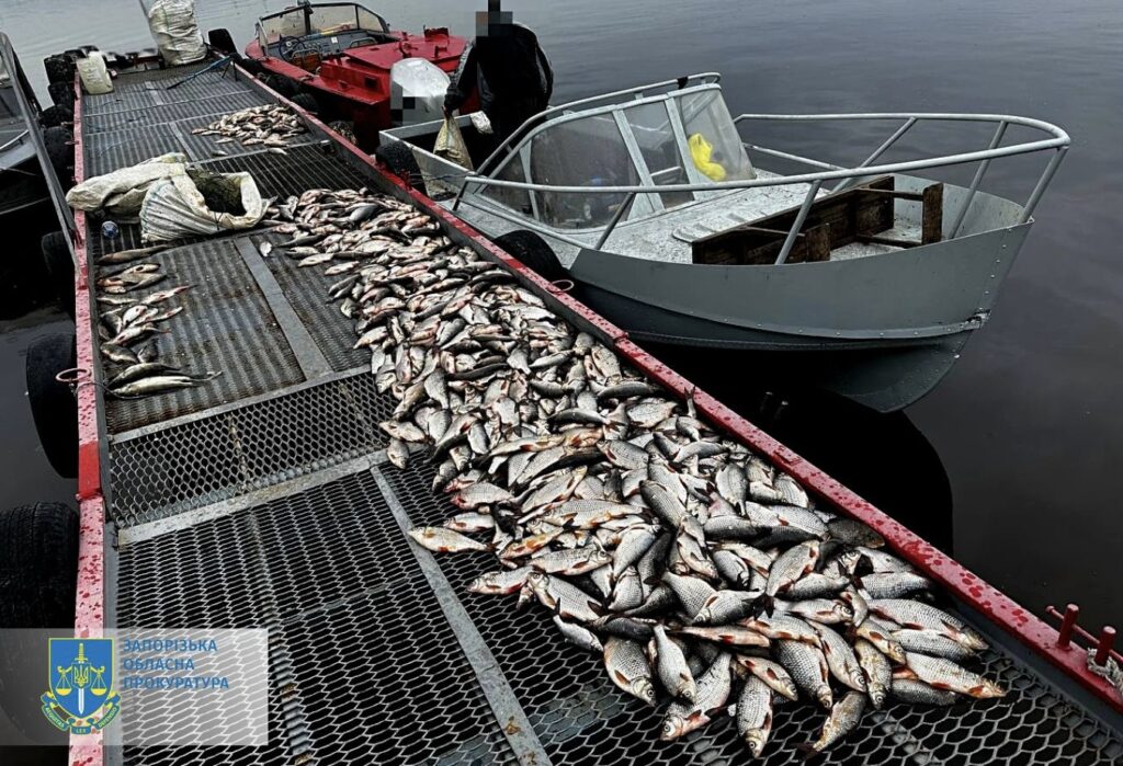 На Запоріжжі рибалки під час нересту спіймали риби на понад 3 млн гривень