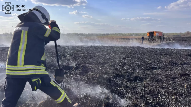У Запоріжжі знову загорілися плавні біля Дніпра: пожежу ліквідували (ФОТО)