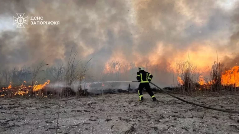 В Запорожье ликвидирован пожар на берегу реки Днепр