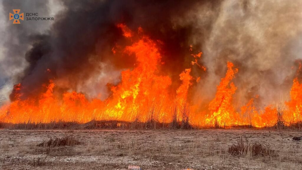 У Запоріжжі пожежа на березі Дніпра