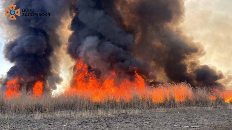Крупный пожар в Запорожье: горят плавни возле Днепра (ФОТО)