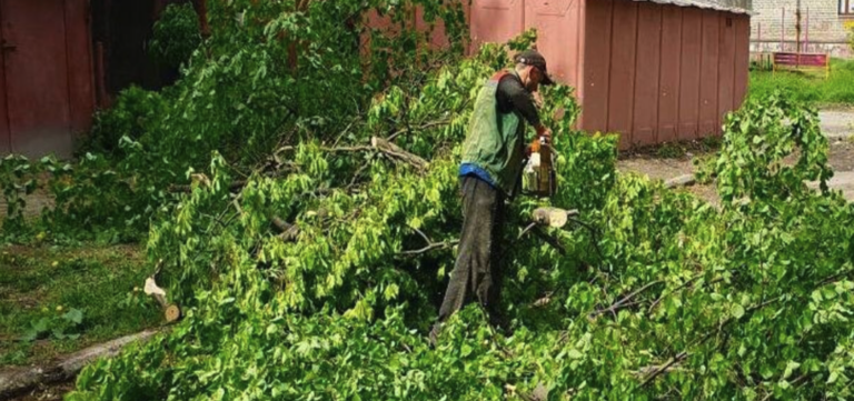 У Запоріжжі внаслідок негоди впало понад 450 дерев: усунення наслідків займе не один день (ФОТО)