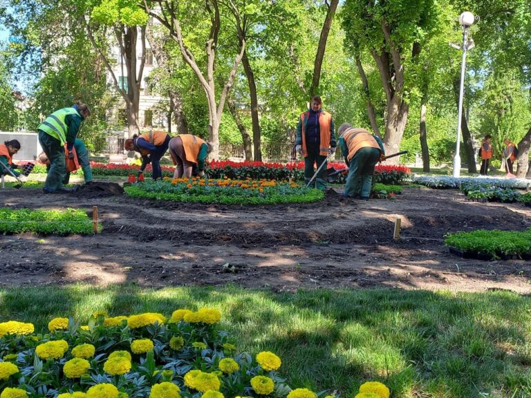 Алею Бойової Слави у Запоріжжі прикрасять 14 тисяч квітів. ФОТО
