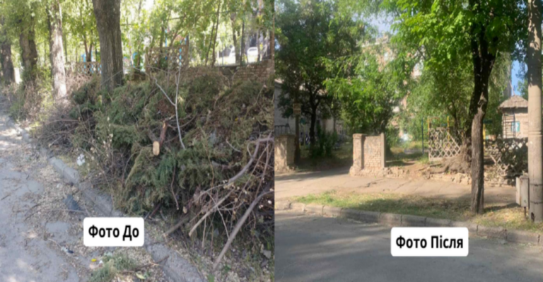 Обрезка деревьев в Запорожье: председатель ОСМД сложил ветки на проезжей части (ФОТО)