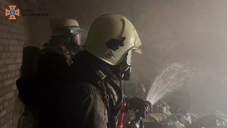 В Запорожье загорелся пожар: спасли мужчину и женщину (ФОТО)