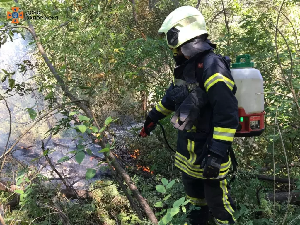 У Запоріжжі рятувальники приборкали пожежу в заповіднику "Хортиця"
