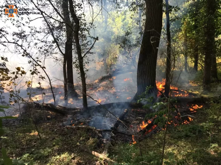 В Запорожье спасатели укротили пожар в заповеднике “Хортица” (ФОТО)