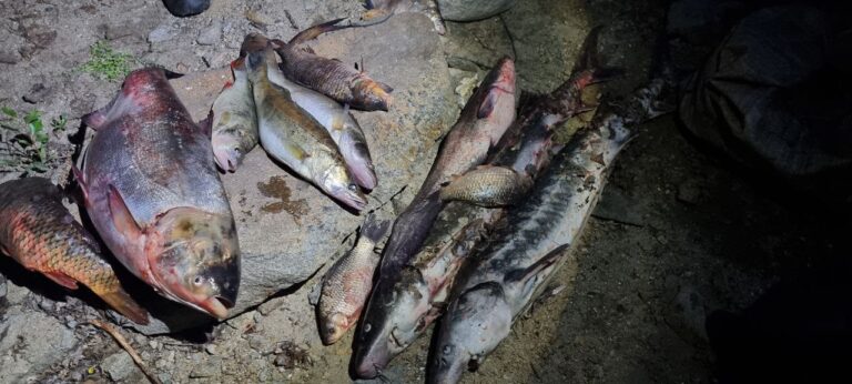 Краснокнижную рыбу ловили браконьеры в реке Запорожье (ФОТО)