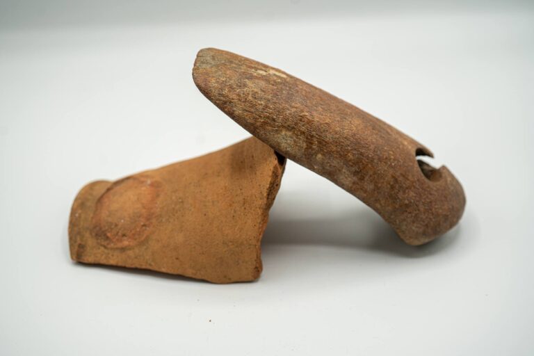 Чоловік випадково знайшов давній артефакт під час прибирання сміття на косі в Запоріжжі (Фото)