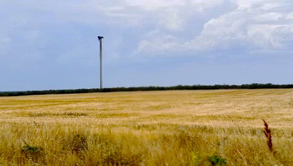 Приморська вітроелектростанція в Запорізькій області втратила частину потужності