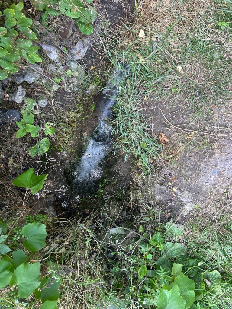 В річку Суха Московка скидають невідомі речовини: що виявили екологи (ФОТО)