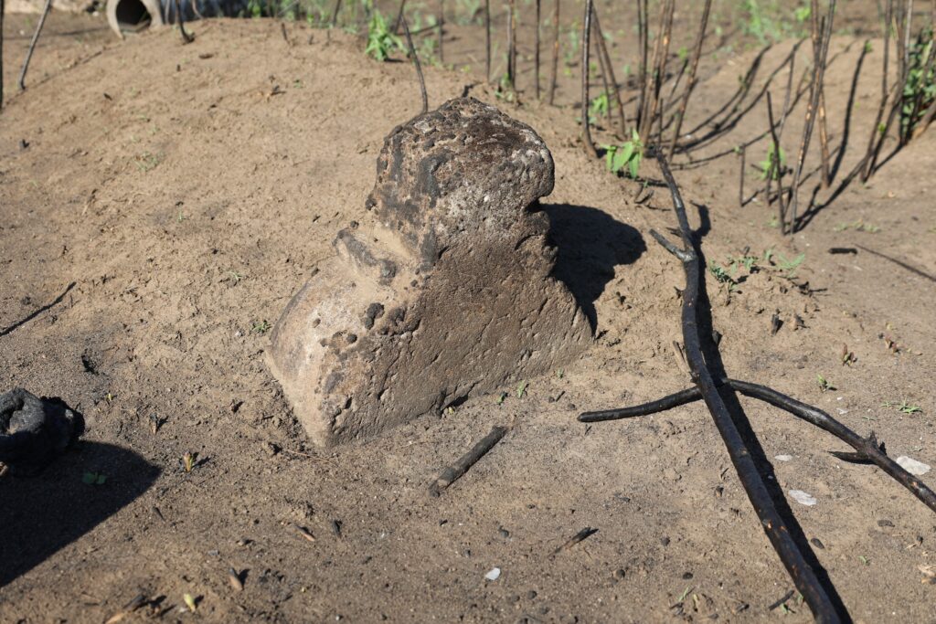 Подолянське кладовище у після пожежі.