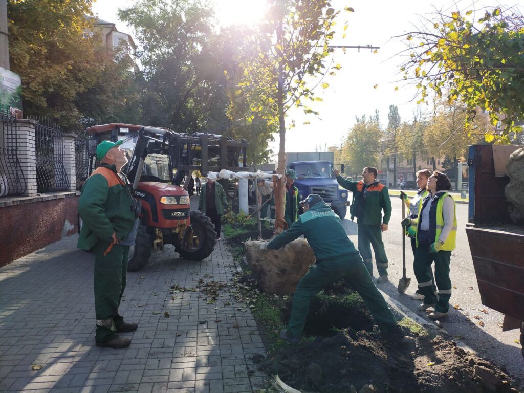 На проспекті Соборному висаджують липи