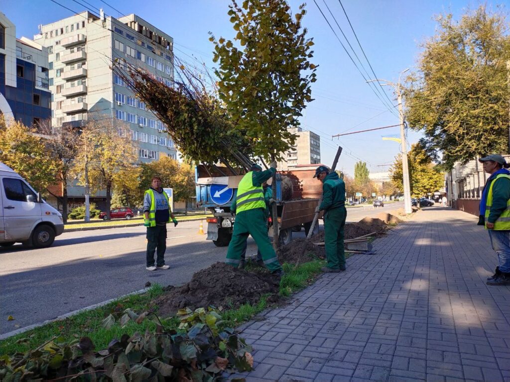 На проспекті Соборному висаджують липи